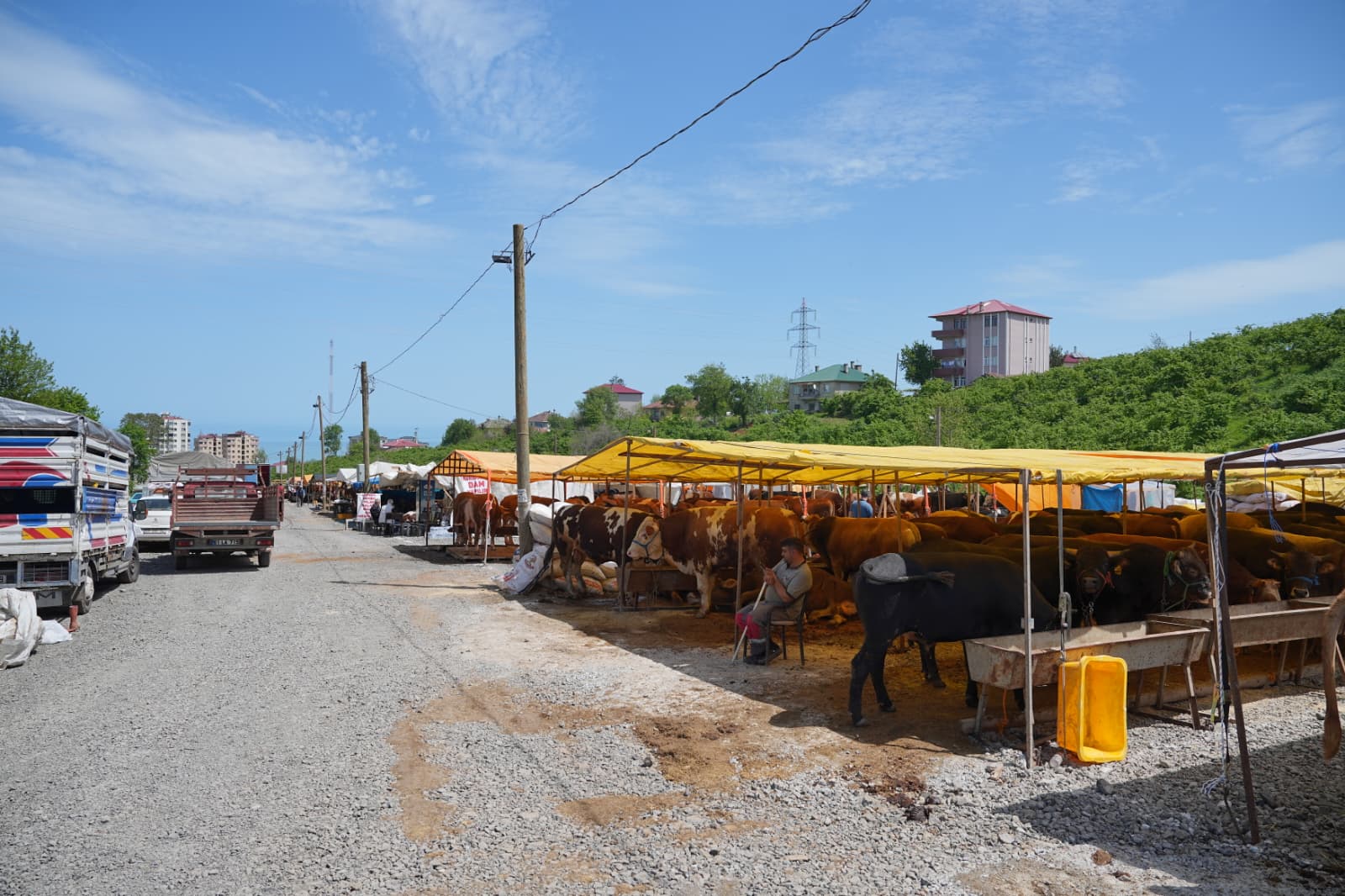 Başkan Kaya