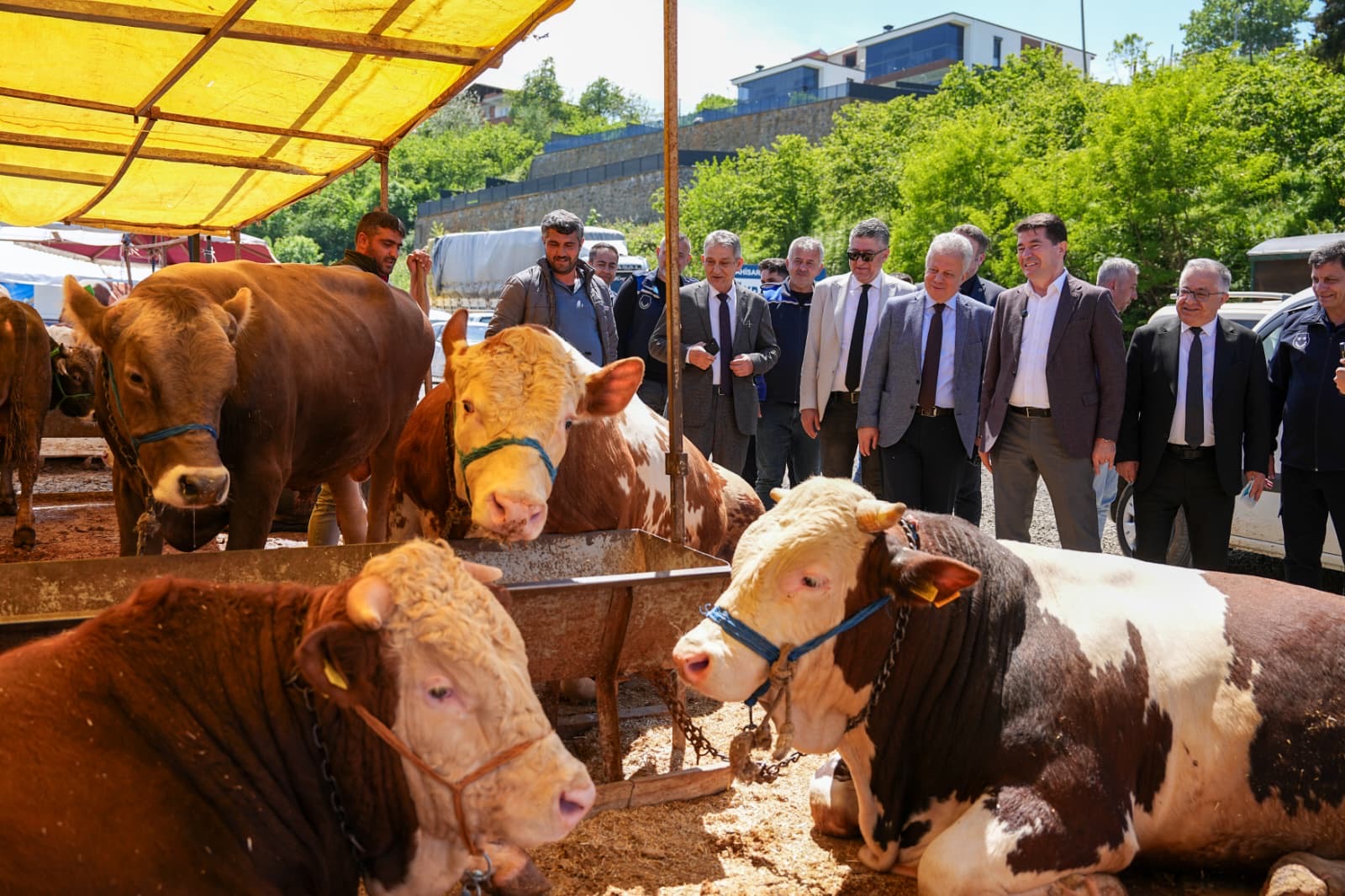 ORTAHİSAR, KURBAN BAYRAMI’NA HAZIR